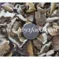 Bulk Getrocknete Pilz Shiitake Scheibe